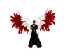 ailes angels dark