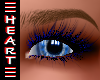 (H) Zell Midnight Lashes