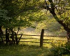 Country Charm BG