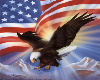 Eagle Flag Backdrop