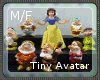 DEZ* Tiny Avatar M/F