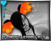 D~Flappy Ears: Orange