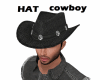 Hat Cowboy+action