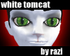 White Tomcat