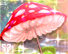 sz┃Mush-brella 🍄