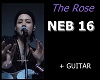 POP ROCK + guitar NEB16