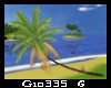 [Gio]Palm Tree