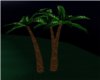 Palm Tree Night> Trio