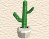 [kflh] Desert Cactus