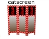 catscreen
