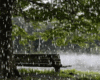 Rain 3D