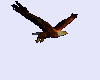 [SH] Flying Eagle