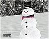 ⚘ Snowman + Snow DRV