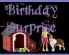 Birthday Surprise Room