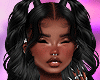 𝒗. Nort