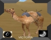 Egypt Camel/Set