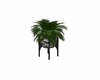Potted plant on stand