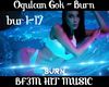 Ogulcan Gok - Burn