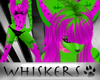 Whiskers :Wtrmelon HairF