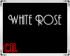 White Rose