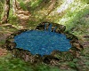 Blue Springs Pond / ani