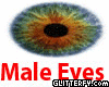 Male Tiger/Cat Eyes