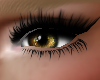 Melted Gold Eyes 2023