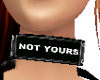 Not Yours collar