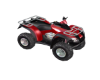 Red Buggy