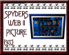 {SCC}Spyders Web Picture