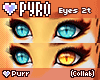 *W* PYRO 2TEyes 1