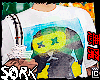 shirt dog custom