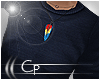 -)Cp(-Navy Sweater