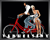 (VH) Bicycle Couple /R