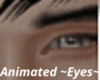 Eye Highlights Animated