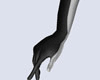 CA Long Black Gloves