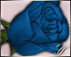 SC: Rose |Blue