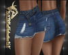 Jean Skirt  RL