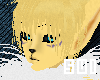 [S]Rena Fur-F