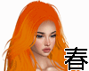 506 Orange 長髮