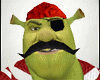 Shrek Pirate Avatar