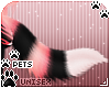 [Pets] Cass | tail v5