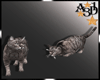 A3D* Cats 3