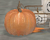 Pumpkins Decor