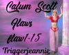 Calum Scott-Flaws