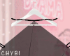 C~Black Dream Shawl