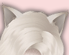 NNN.Siamese Cat Ear