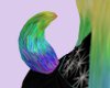 Rainbow fluffy tail/SP