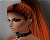 RC - Ravena carrot