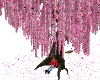 Árvore flor de sakura